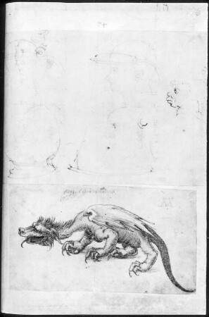 Skizzenblatt mit männlichen Kopfstudien im Profil und mit nach links schreitendem Lindwurm : 176r : Skizzenblatt mit männlichen Kopfstudien im Profil und mit nach links schreitendem Lindwurm (14,5 x 20,5 cm (Blättchen mit Köpfen) & 9,8 x 17,6 cm (Blättchen mit Lindwurm))