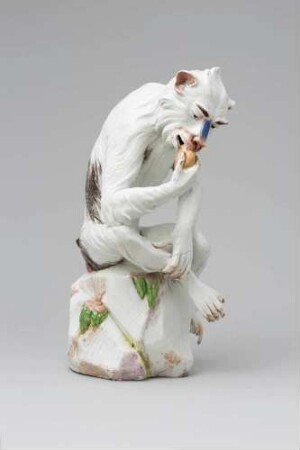 Affe (Mandrill) mit Orange
