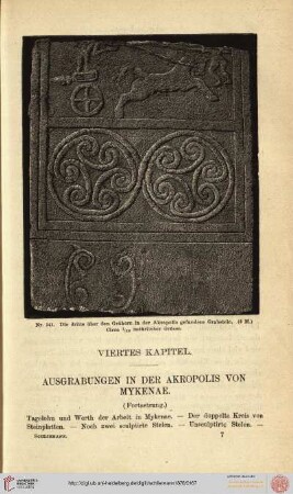 IV. Kapitel: Ausgrabungen in der Akropolis von Mykenae