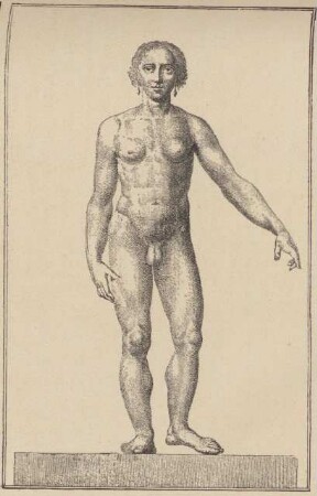 Abbildung von Giacoma Foroni unbekleidet (Holzschnitt) (1)