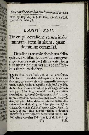 Caput XVII. De culpa occadione rerum in dominum, item in alium, quam dominum commissa.