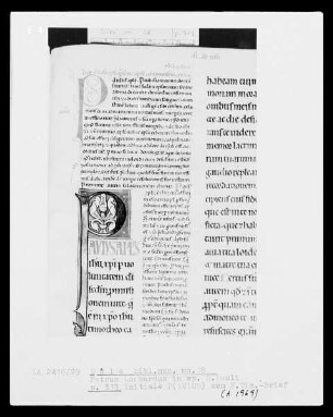 Petrus Lombardus, Commentarius in epistolas Sancti Pauli: Initiale P