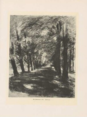 Allee