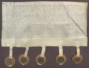 Instrumentum probationis des Anselm Franz Ernst von Warsberg.