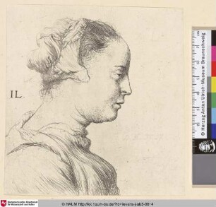 [Brustbild einer jungen Frau im Profil, nach rechts; Bust of a young woman in profile to the right]