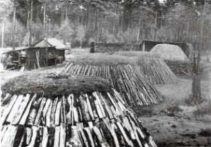 Holzkohlemeiler bei Rietschen : Ort: Rěčicy / Rietschen. Holzkohlemeiler bei Rietschen (1961), Meilerstätte