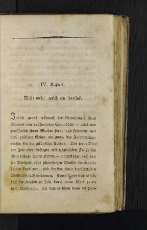 IV. Kapitel. Weh! weh! welch ein Unglück.