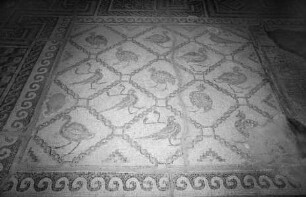 Mosaik mit Tierfeldern