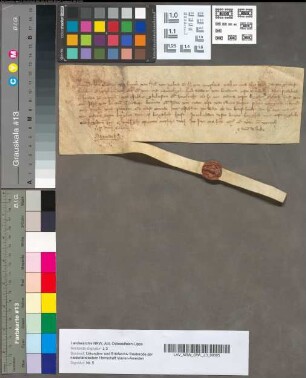 Beloften van Willem, Grave van Heinegouwen, om Heer Diederik van Brederode, Heer van Voshol, Ridder, schadeloos te houden van borgtochten. Bemerkung: Reihenfolge Nr. 5 - 8 von Hand geändert.: 25 Februari 1344 (1345). Perkament met 1 uithangend zegel. Als voren [*siehe Bemerkung]. Perkament. Het zegel is afgevallen.