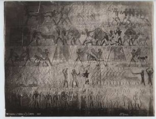 Mastaba des Ti, Sakkara: Ansicht, Relief
