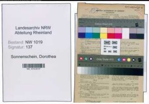 Entnazifizierung Dorothea Sonnenschein , geb. 17.04.1905 (Lehrer)