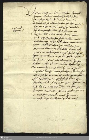 Den Erbarn wolwaysen Burgermeistern vnd rathmanen zur Newestadt an der ordel... - Mscr.Dresd.C.107.f,21