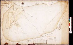 Geometrischer Grundriss von dem in der Herrschaft Breuberg liegenden herrschaftlichen Wald der Brunnthaler (Bronthaler) Forst genannt (Inselkarte)