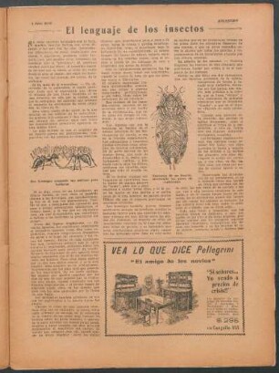 El lenguaje de los insectos