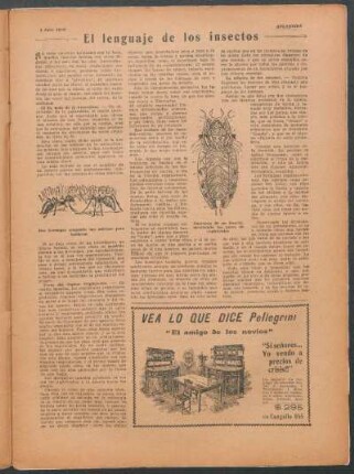 El lenguaje de los insectos