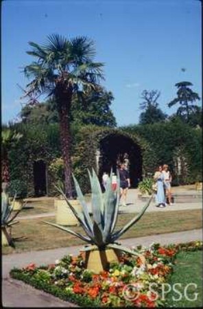 Potsdam, Park Sanssouci, Sizilianischer Garten.