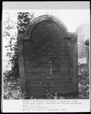 Grabstein von Sarle, Ehefrau des Feibel Mühlheim (gestorben 1722.01.08)