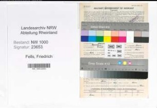 Entnazifizierung Friedrich Fells, geb. 15.05.1894 (Vertreter)