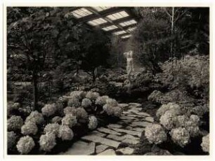 Ausstellungsgarten Deutsche Gartenbau-Ausstellung 1933, Berlin: Innenansicht Ausstellungshalle, Exotischer Wassergarten