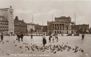 Leipzig: Taubenidyll auf dem Augustusplatz