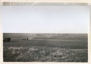Auf der Steppe bei Hóroslar