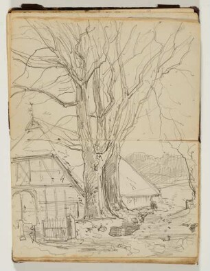Bauernhaus mit Baum