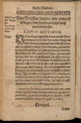 Caput Septimum. Von Brieffen darinn wir jemand beklagen/ oder ihm freundlicher weiß etwas verweisen.