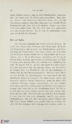 Eck – Eyerkorb