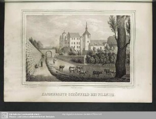 Kammerguth Schönfeld bei Pillnitz