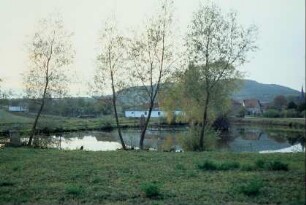 Teich außerhalb des Ortes