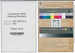 Entnazifizierung Horst Weber , geb. 03.01.1901 (Geschaeftsfuehrer)
