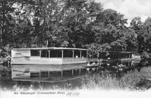 Leipzig: Am Wassergott (Connewitzer Holz)