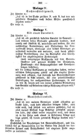 Anlage V. Eid eines Curators.