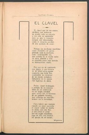 El clavel