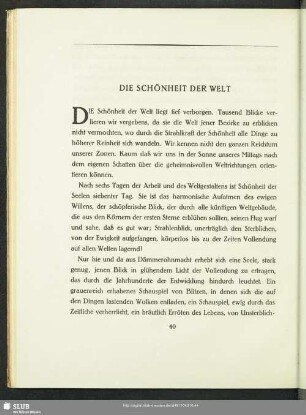 Die Schönheit Der Welt