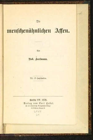 Die menschenähnlichen Affen
