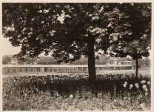 Reichsgartenschau 1939 auf dem Killesberg, Stuttgart: Plan- und Modellschau, Blumenzwiebelwiese, Ausstellungshalle