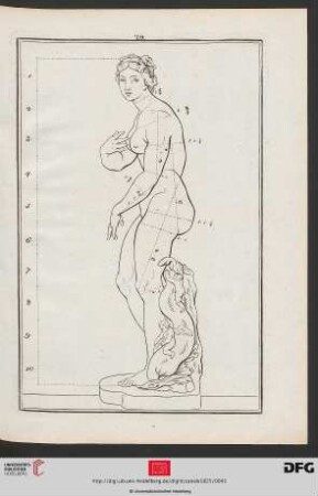 Taf. 29 [Medici-Venus (Proportionen; Kontur)]