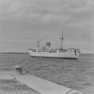Urlaubsbilder Rostock 64 : Rostock. MS Kühlschiff "Fritz Reuter"