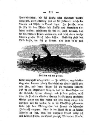 Stillleben auf der Prairie