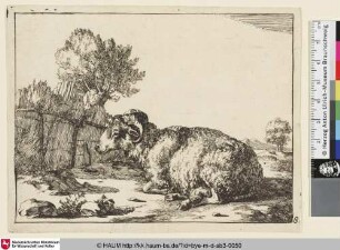 [Un bélier couché, vu de profil, et dirigé vers la gauche; Ein liegender Widder vor einem Zaun]