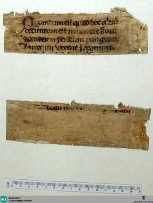 Fragment - Cod. Aug. Fr. 203