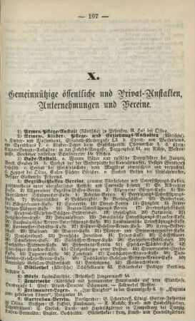 X. Gemeinnützige öffentliche und Privat-Anstalten, Unternehmungen und Vereine