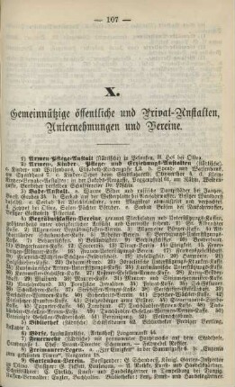 X. Gemeinnützige öffentliche und Privat-Anstalten, Unternehmungen und Vereine