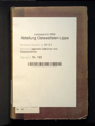 Salbuch der Stadt Salzuflen von 1862, Bd. 3