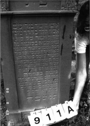 Grabstein 911 (Index: 100099233) Maße HxBxT: 134x50x16 cm Symbolik: Schofar Besonderheit: kulturhistorisch wertvoll / hist.-wiss. Gründe (Gemeindestellung): Grabstein 911A