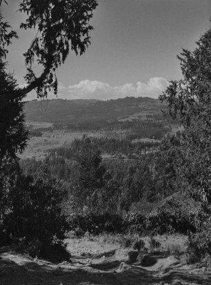 Hochland von Abessinien : Blick über das Hochland von Abessinien in der Nähe des Mount Entoto bei Addis Abeba
