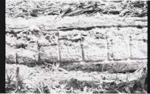 El Palmar, Stela 14 (PLM: St. 14)