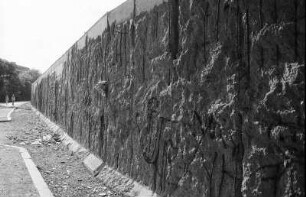 Mauer, von Mauerspechten bearbeitet