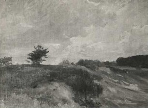 Landschaft : Landschaft. Ölgemälde; 38 x 47 cm (um 1890: M. Liebermann)